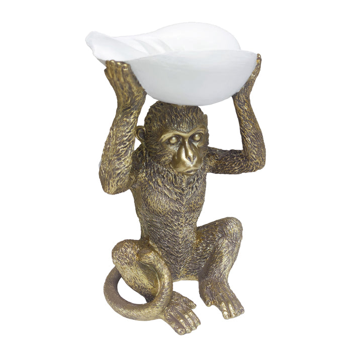 Nairobi Monkey with Shell on Head