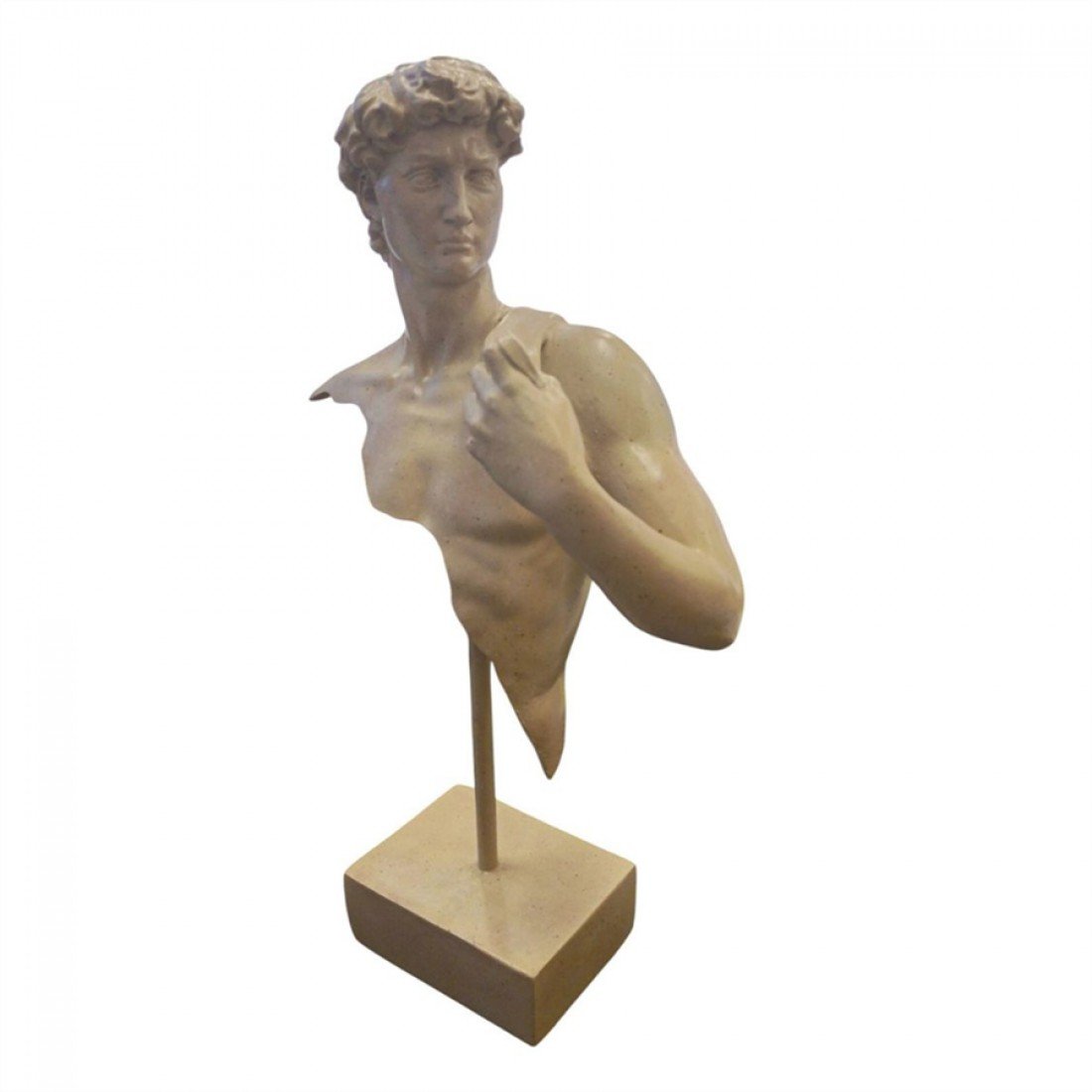 Bust of David Sculpture