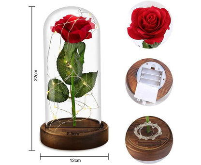 Beauty and the Beast Rose in Glass 