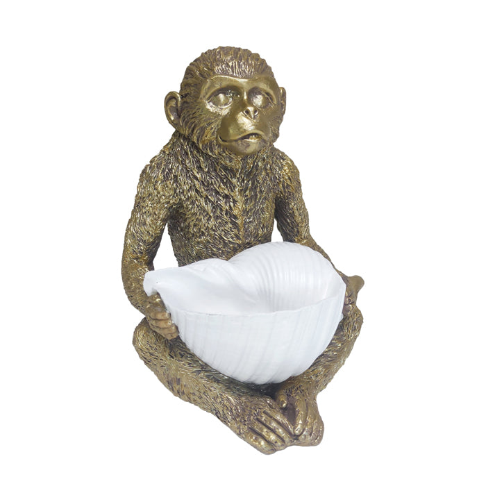 Nairobi Monkey with Shell on Lap