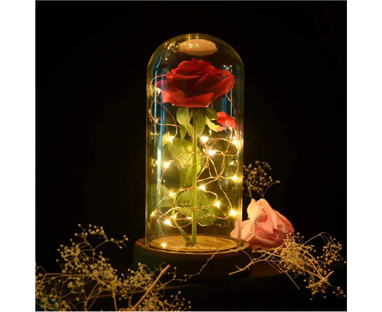 Beauty and the Beast Rose in Glass 